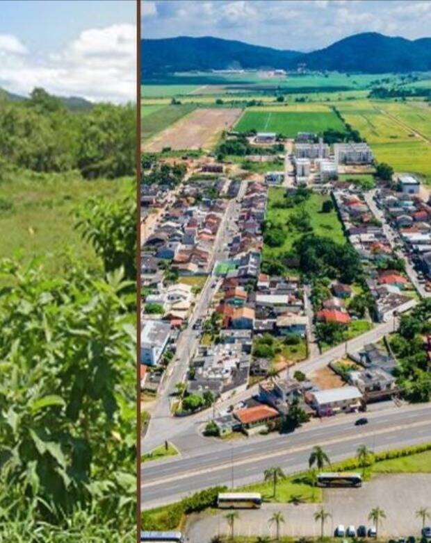 Terreno, 8550 m² - Foto 4