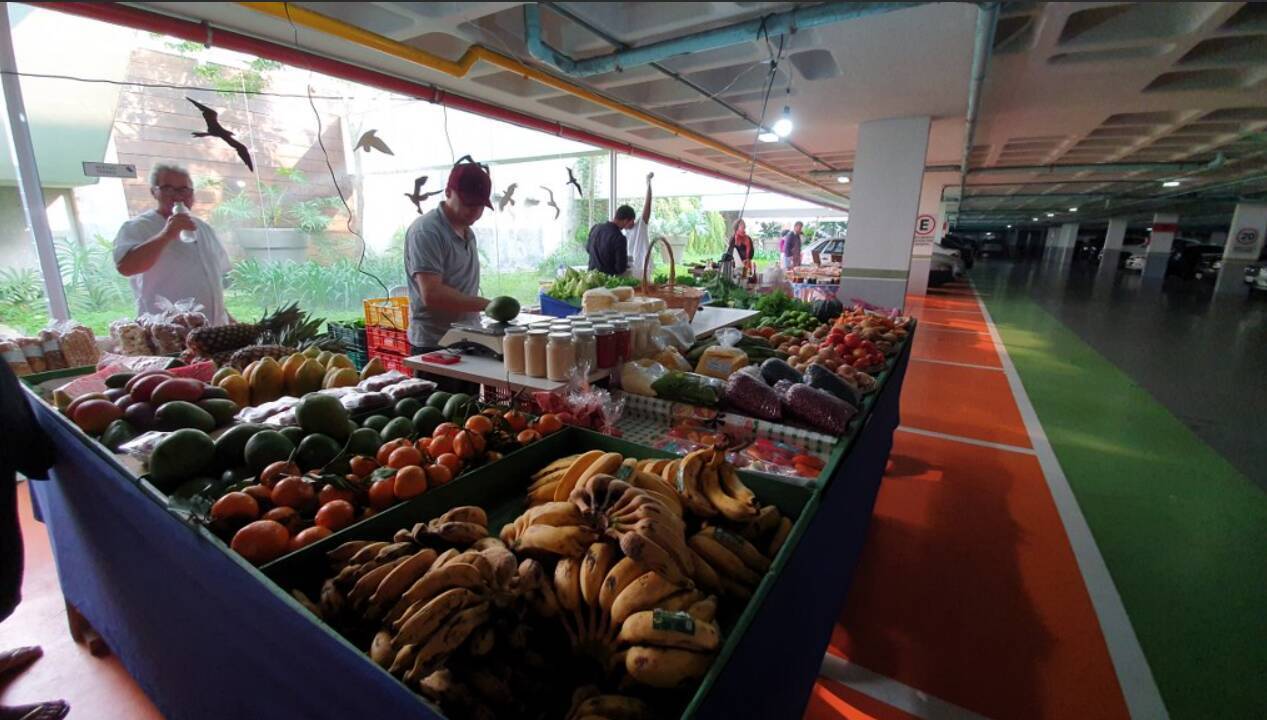 Apartamento, 3 quartos, 167 m² - Foto 100