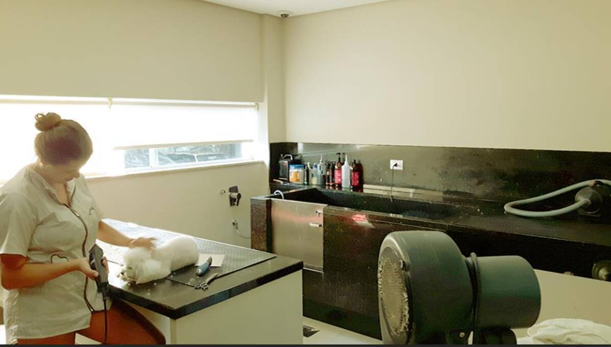 Apartamento para alugar com 3 quartos, 190m² - Foto 61