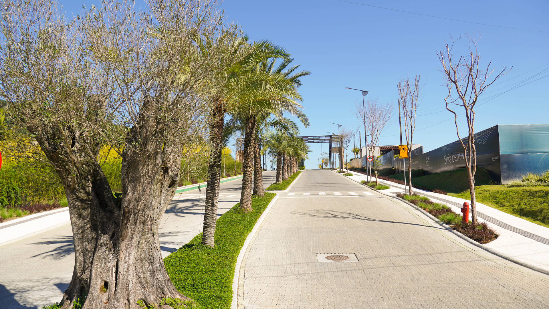 Terreno à venda, 300m² - Foto 12