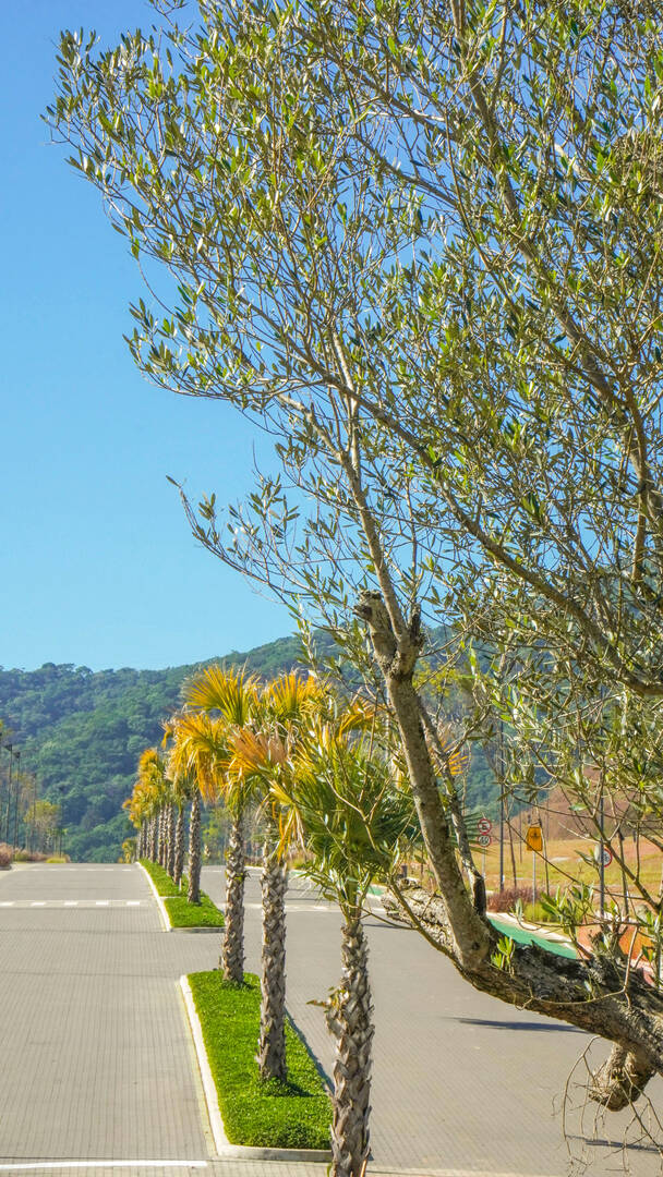 Terreno à venda, 300m² - Foto 38