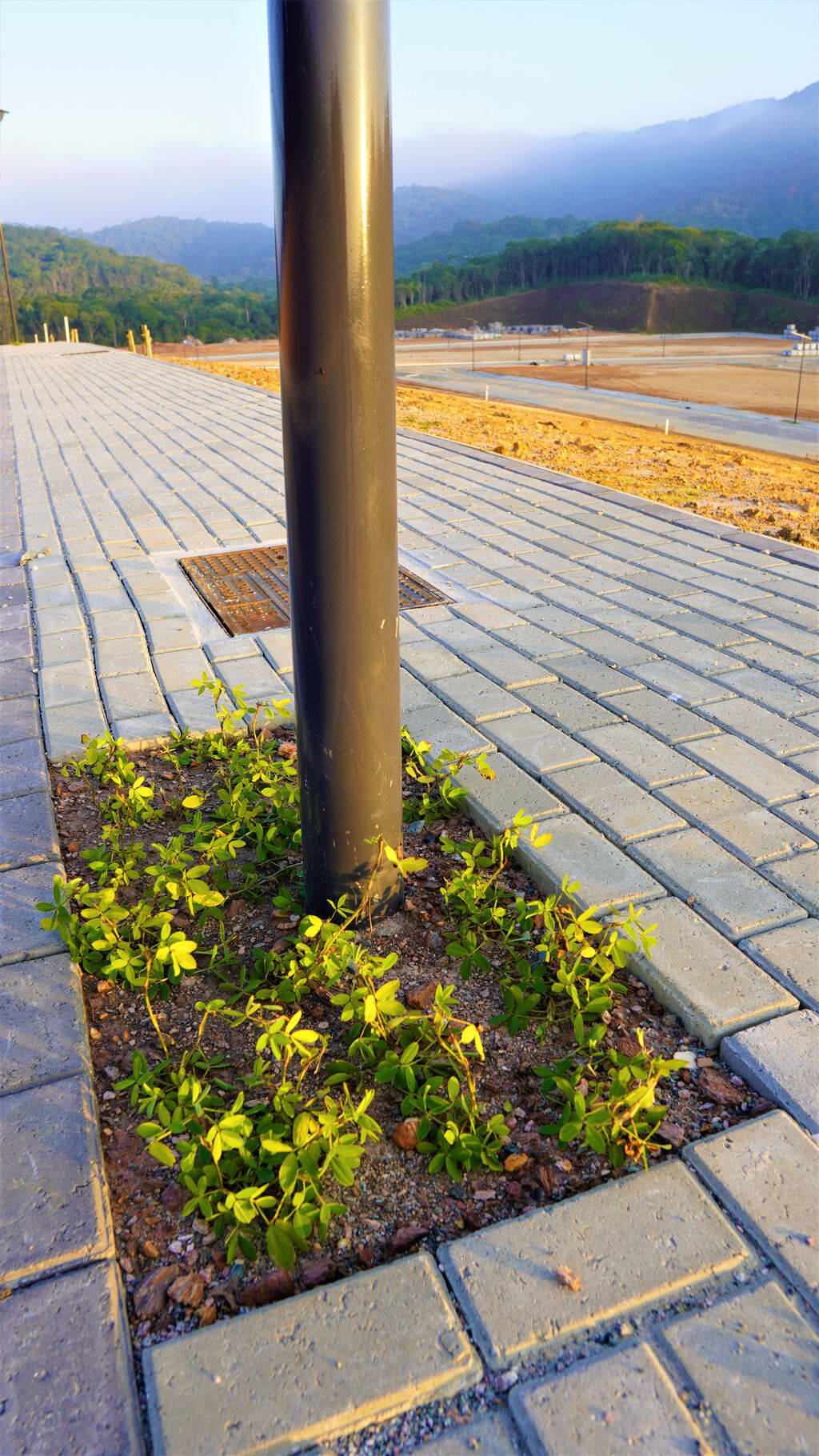 Terreno à venda, 300m² - Foto 44