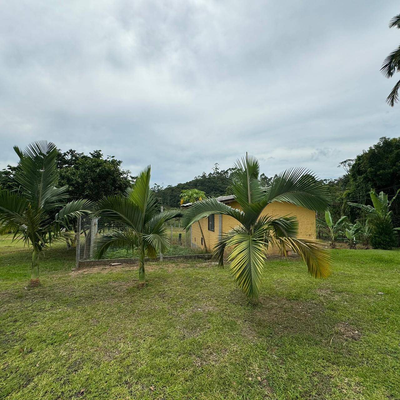 Terreno à venda, 550m² - Foto 4