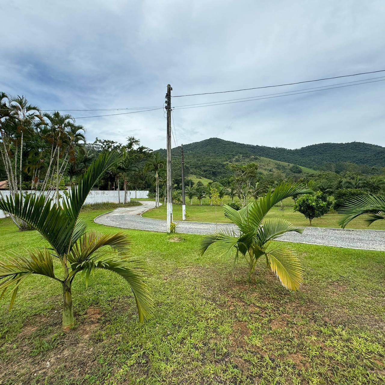 Terreno à venda, 550m² - Foto 6