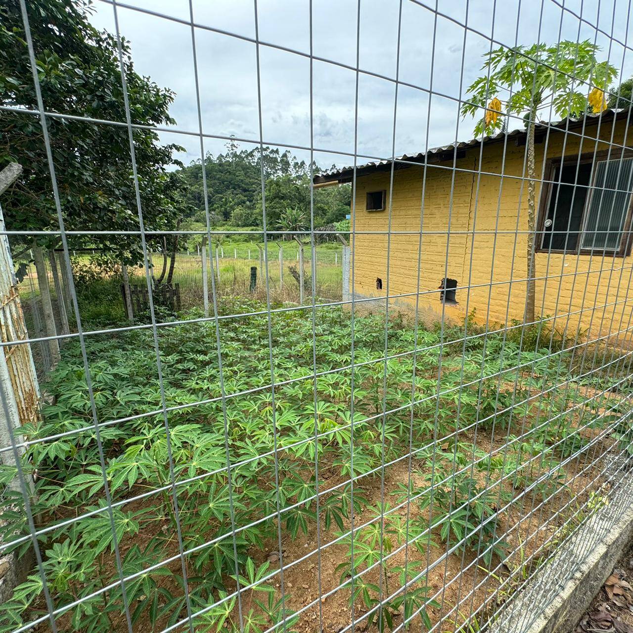 Terreno à venda, 550m² - Foto 8