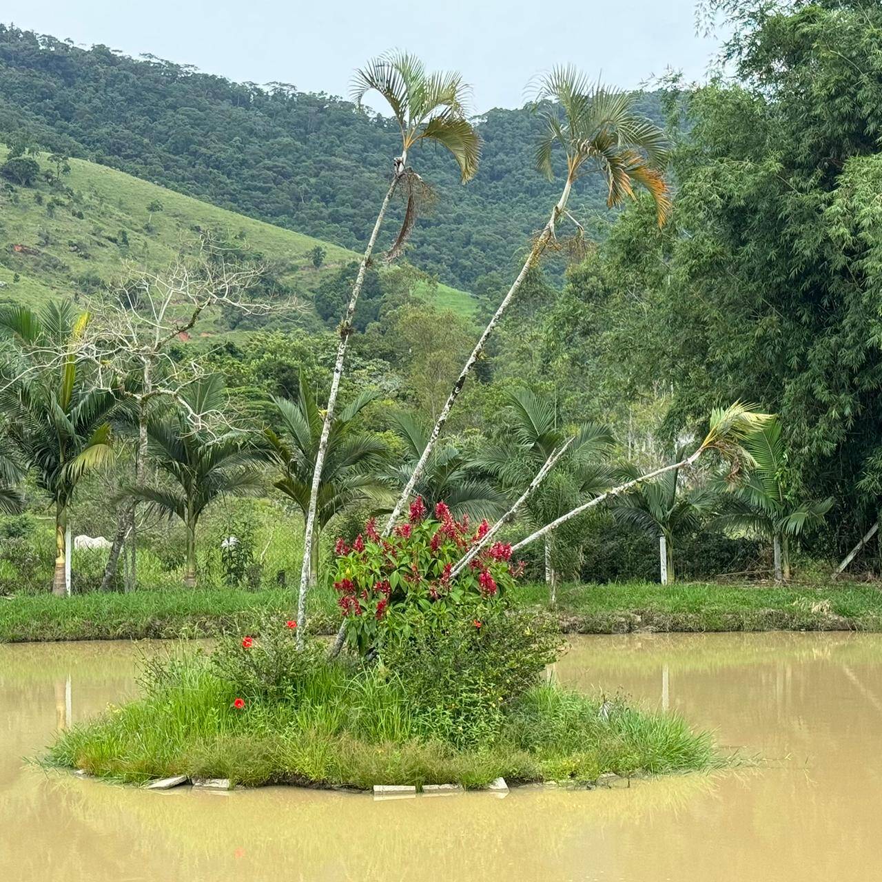Terreno à venda, 550m² - Foto 7