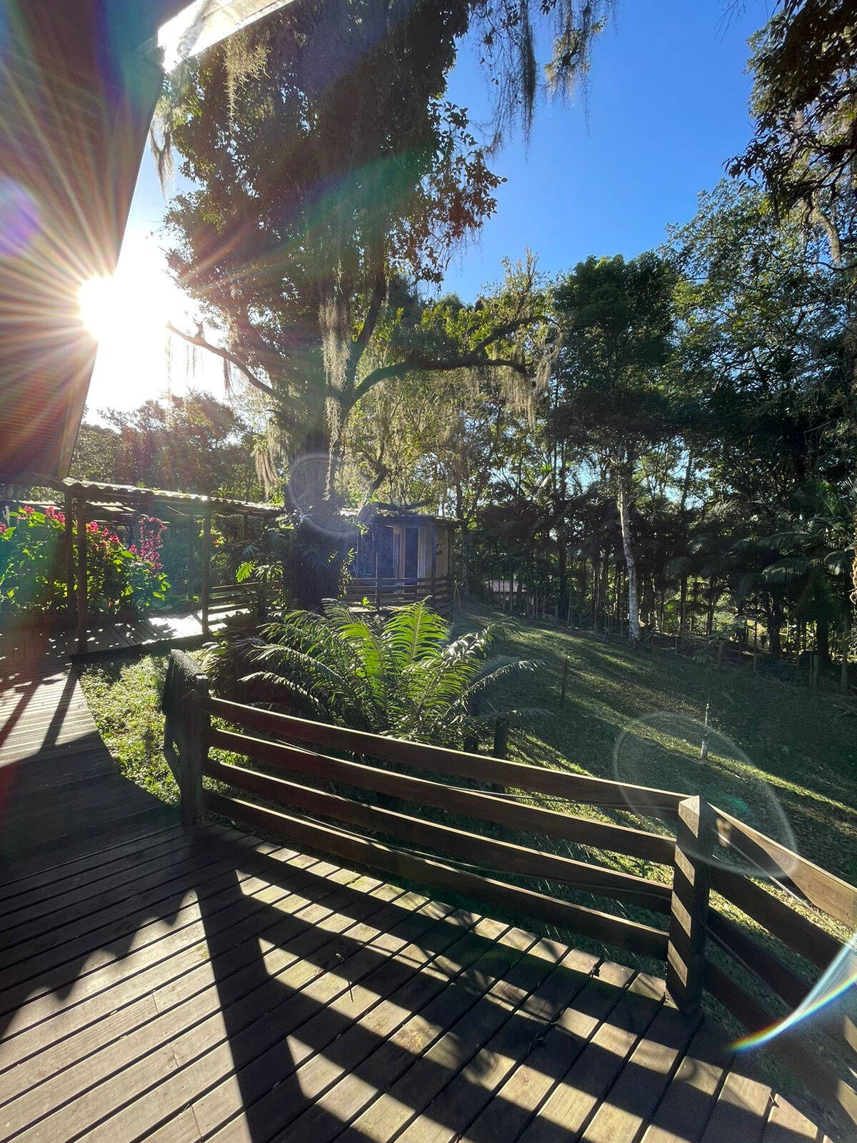 Chácara, 3 quartos, 15 hectares - Foto 1