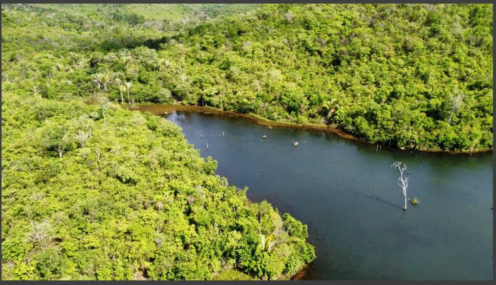 Fazenda à venda com 4 quartos, 14229600m² - Foto 2