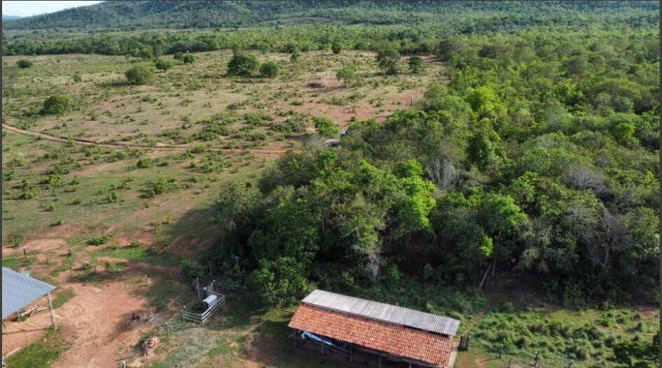Fazenda à venda com 4 quartos, 14229600m² - Foto 7