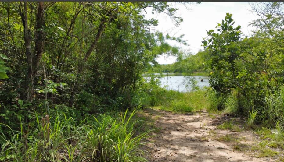 Fazenda à venda com 4 quartos, 14229600m² - Foto 10