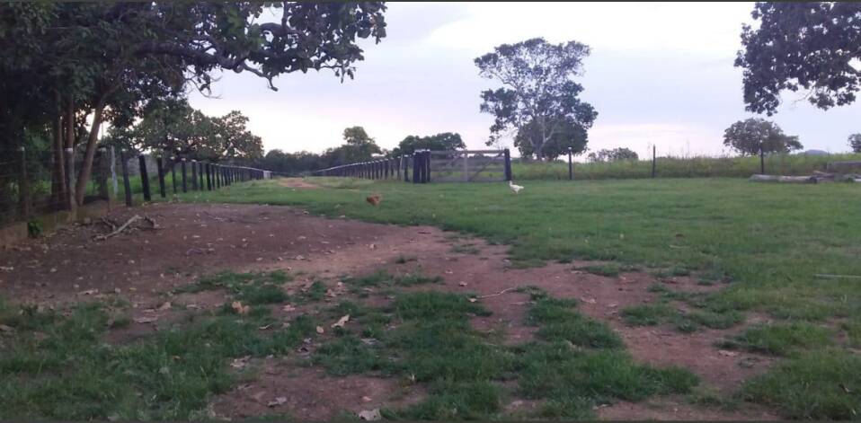 Fazenda à venda com 4 quartos, 14229600m² - Foto 17