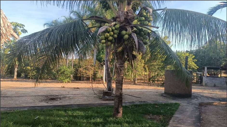 Fazenda à venda com 4 quartos, 14229600m² - Foto 26