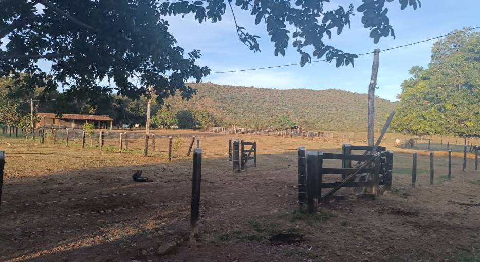 Fazenda à venda com 4 quartos, 14229600m² - Foto 28
