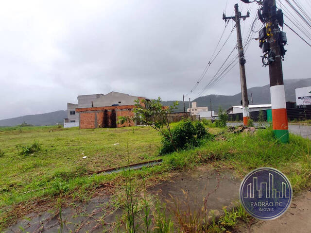 #962 - Área para Venda em Camboriú - SC - 3