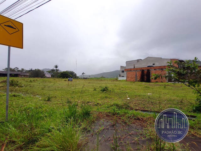 #962 - Área para Venda em Camboriú - SC - 1