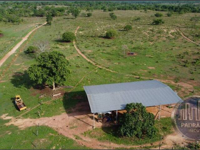 Chácara para Venda em Vianópolis - 4