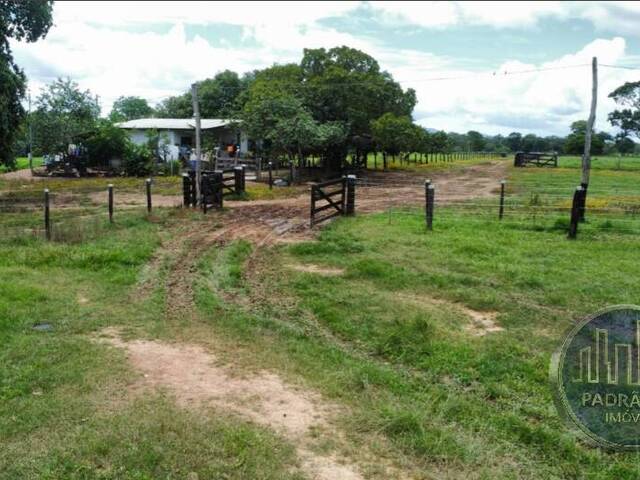 #1313 - Chácara para Venda em Vianópolis - GO - 1