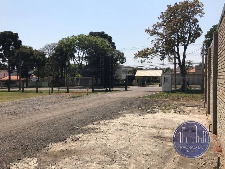 Terreno à venda, 6240m² - Foto 3